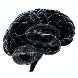 Trauma Psychology eBook by Amazon Kindle – 59 Page Consulting Guide-0